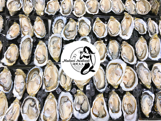 Fresh SA Pacific Oysters (Medium/Std) (Open)