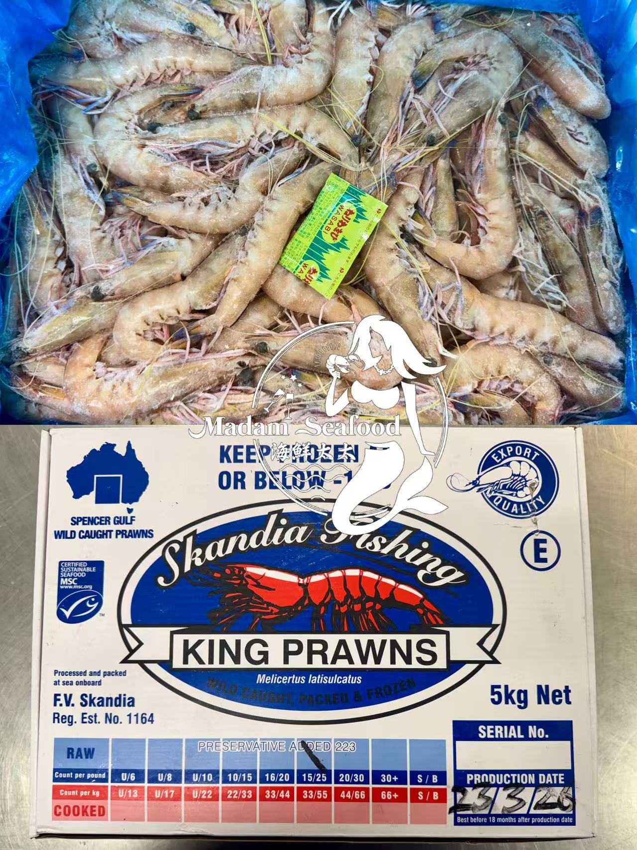 SA King Prawn (Medium 15/25) (Raw) (frozen)