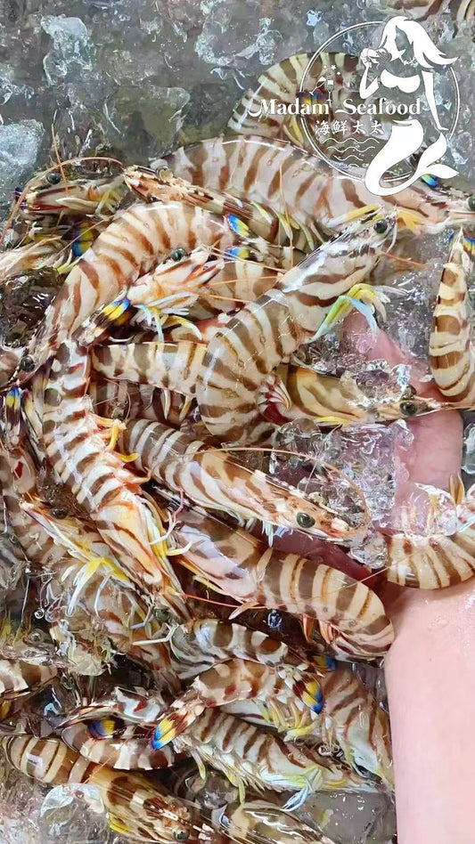 Japonica Tiger Prawn (Raw) (frozen)