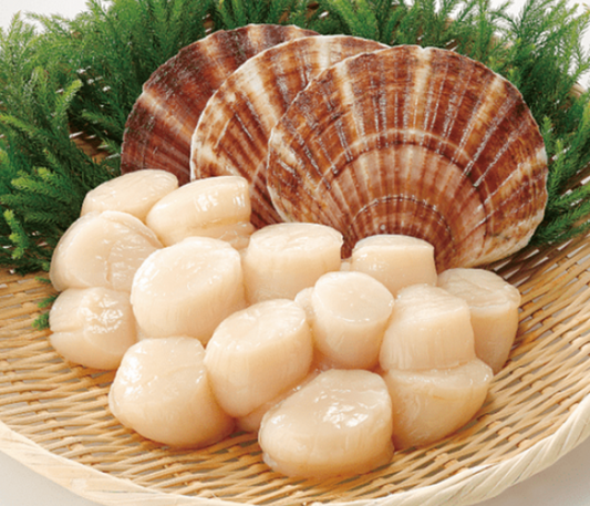 Hokkaido S2 Scallop (MEAT) (frozen)
