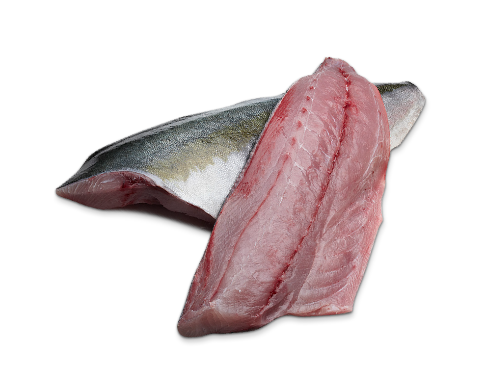 Fresh sashimi grade Kingfish Fillet (Skin-Off)