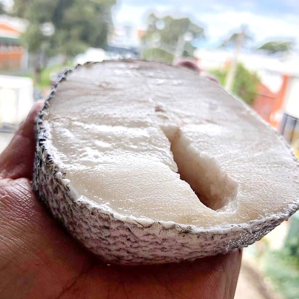 Patagonian Toothfish Cutlet (Frozen)【SALE】