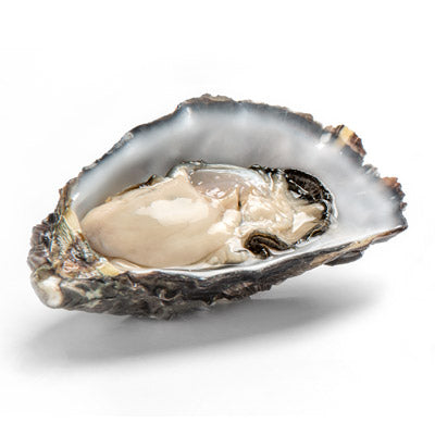 Fresh SA Pacific Oysters (Medium/Std) (Open)