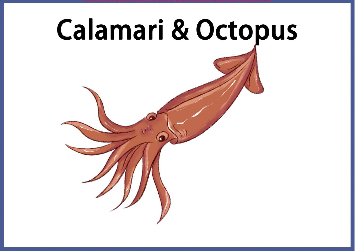 Calamari and Octopus