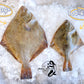 Fresh New Zealand Flounder (Jumbo)