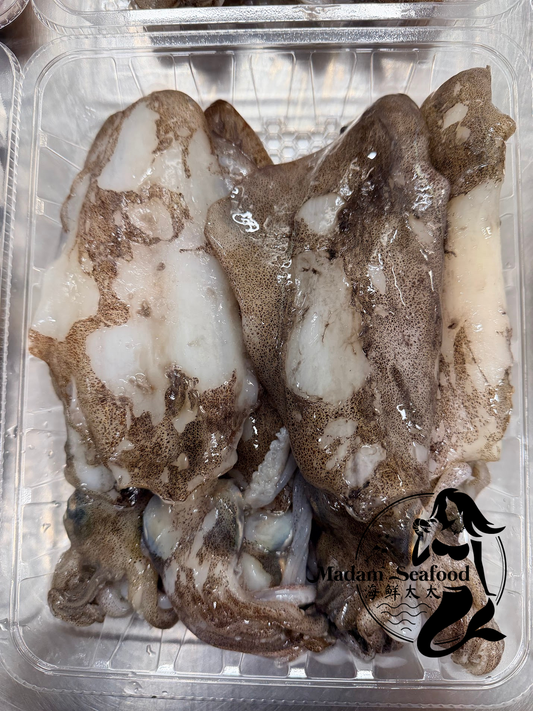 Frozen SA Squid (whole)(mixed size)