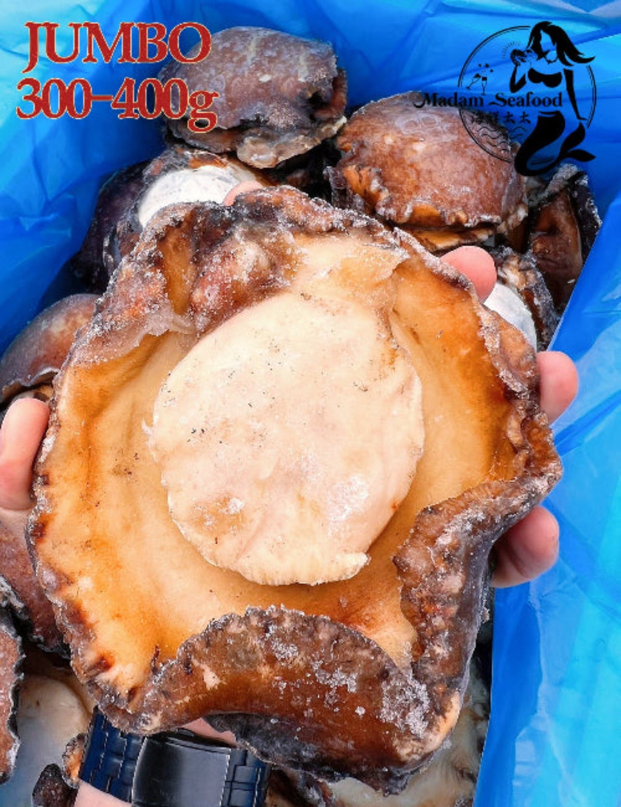 Wild Caught Blacklip Abalone Abalone (MEAT ONLY)