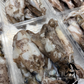 Frozen SA Squid (whole)(mixed size)