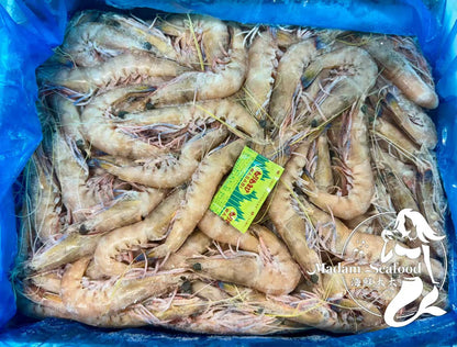 SA King Prawn (Medium 15/25) (Raw) (frozen)