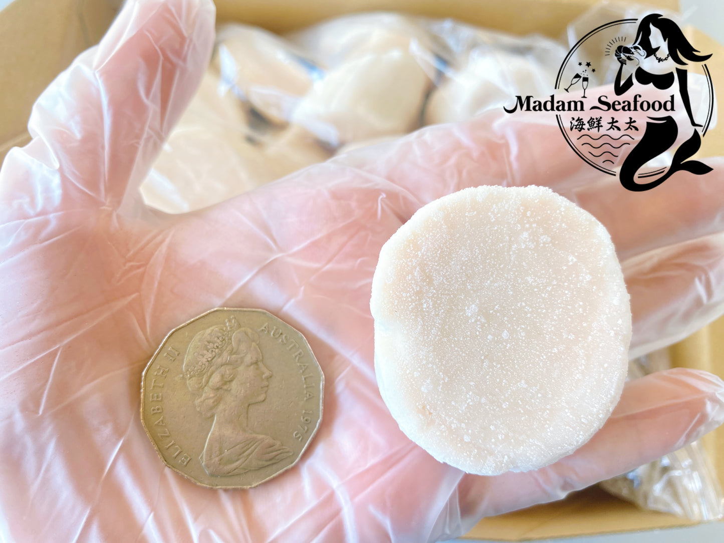 Hokkaido S2 Scallop (MEAT) (frozen)【SALE】