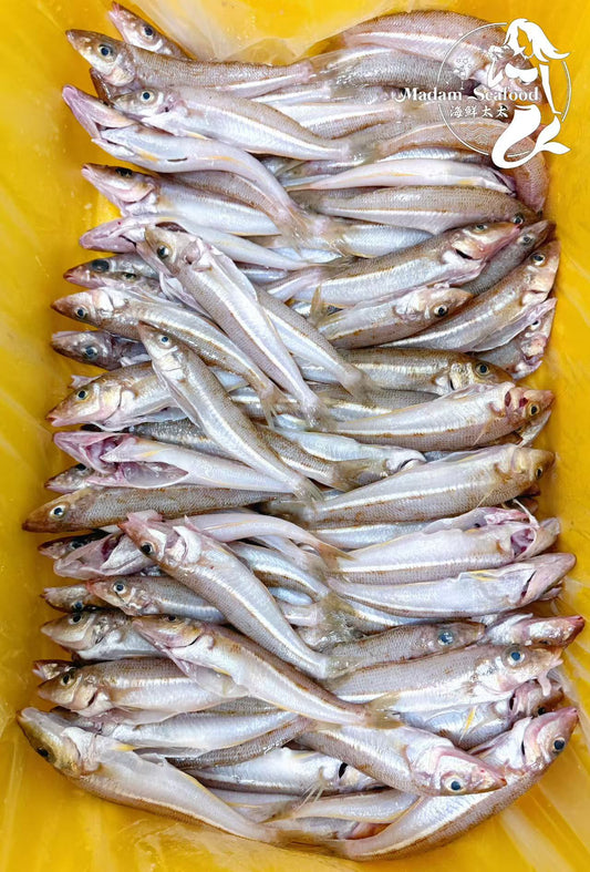 Fresh Tasmania School Whiting (whole)