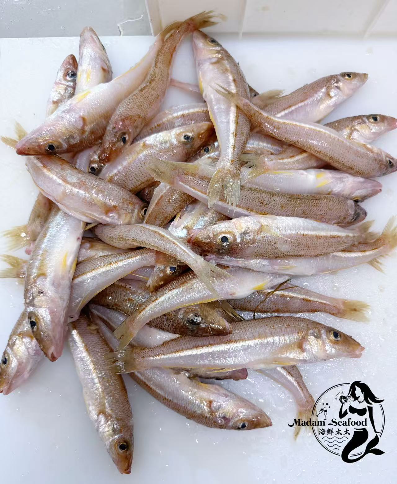 Fresh Tasmania School Whiting (whole)