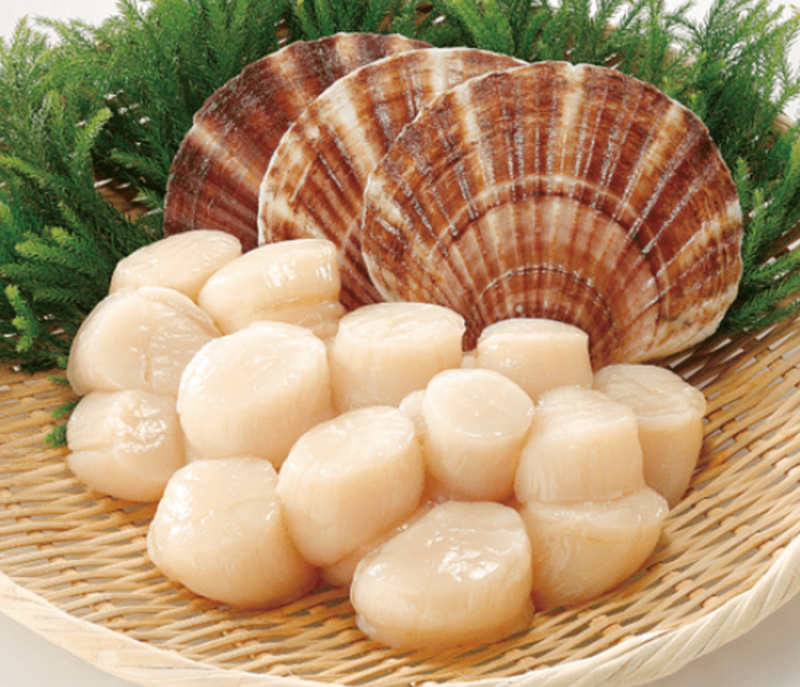 Hokkaido S2 Scallop (MEAT) (frozen)【SALE】