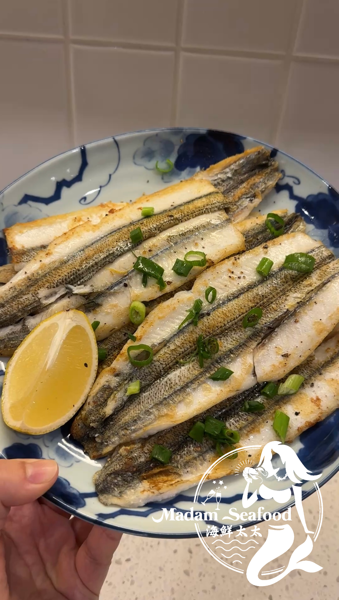 Garfish Fillet (Frozen)