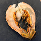 Brazilian Lobster Tail (Frozen)