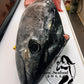 Bluefin Tuna Head 【Friday Only】