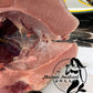 Bluefin Tuna Head 【Friday Only】