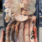 King Crab Platter (Frozen)