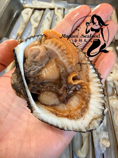 Half Shell Blood Cockles (Frozen)