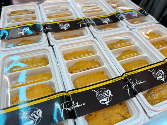 Sea Urchin Long Spine Roe 10A