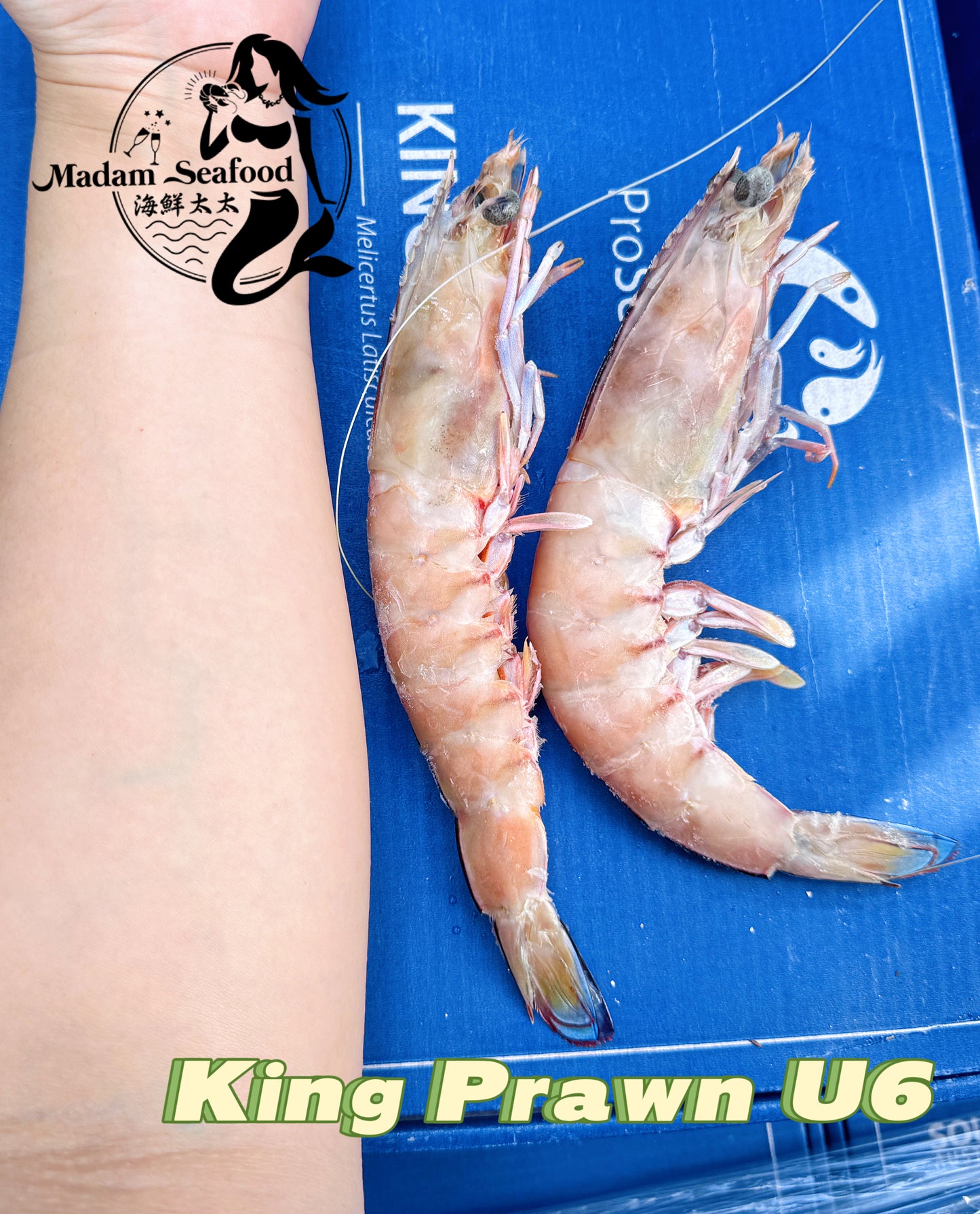 SA King Prawn (Extra Jumbo U6) (Raw) (frozen)