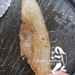 Pork Jowl Korean BBQ Cut (Frozen)