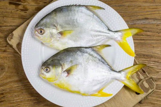 Golden Pomfret – Whole (Frozen)