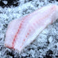WA Spotted Cod Fillet (Frozen)