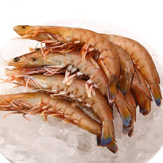 SA King Prawn (Jumbo U8) (Raw) (frozen)