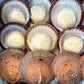 Wild Caught Half-Shell Scallop (XL) (frozen)