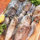 Frozen SA Southern Calamari (whole)